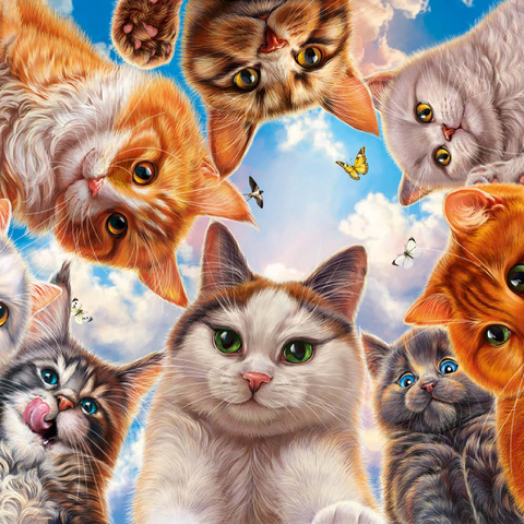 Cat Selfie 200 Puzzle 3D Modell