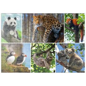 Darstellung des Puzzle Motivs Einzigartig - Bedrohte Tierarten - Collage No. 3 - Puzzleteile: 100