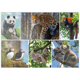 Darstellung des Puzzle Motivs Einzigartig - Bedrohte Tierarten - Collage No. 3 - Puzzleteile: 500