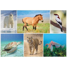 Darstellung des Puzzle-Motivs Einzigartig - Bedrohte Tierarten - Collage No. 4 – Puzzleteile: 1000