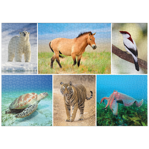 puzzleplate Einzigartig - Bedrohte Tierarten - Collage No. 4 1000 Puzzle