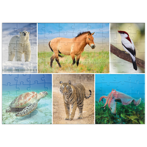 puzzleplate Einzigartig - Bedrohte Tierarten - Collage No. 4 100 Puzzle