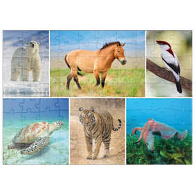 Darstellung des Puzzle Motivs Einzigartig - Bedrohte Tierarten - Collage No. 4 - Puzzleteile: 100