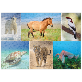 Darstellung des Puzzle Motivs Einzigartig - Bedrohte Tierarten - Collage No. 4 - Puzzleteile: 200