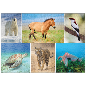 Darstellung des Puzzle Motivs Einzigartig - Bedrohte Tierarten - Collage No. 4 - Puzzleteile: 500