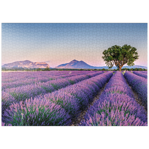 puzzleplate Lavendelfeld in der Provence, Frankreich 1000 Puzzle