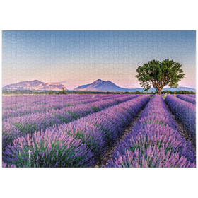Darstellung des Puzzle Motivs Lavendelfeld in der Provence, Frankreich - Puzzleteile: 1000
