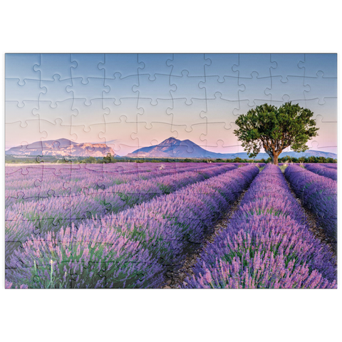 puzzleplate Lavendelfeld in der Provence, Frankreich 100 Puzzle