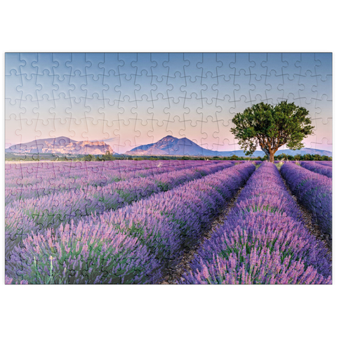 puzzleplate Lavendelfeld in der Provence, Frankreich 200 Puzzle