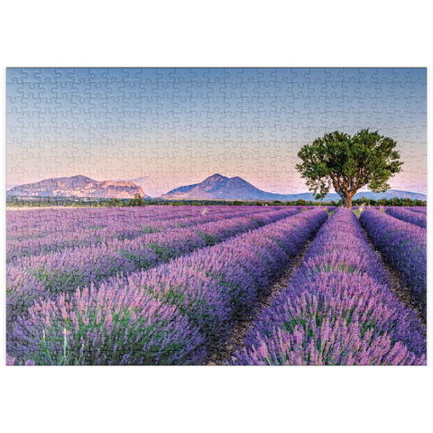 puzzleplate Lavendelfeld in der Provence, Frankreich 500 Puzzle