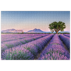 Darstellung des Puzzle Motivs Lavendelfeld in der Provence, Frankreich - Puzzleteile: 500