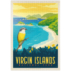 Darstellung des Puzzle Motivs Virgin Islands National Park: Trunk Bay, Vintage Poster - Puzzleteile: 1000