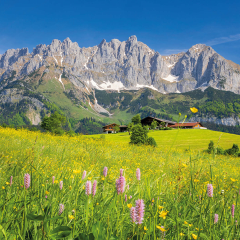 Bauernhaus vor dem Wilden Kaiser, Österreich, Tirol - Kaisergebirge 1000 Puzzle 3D Modell