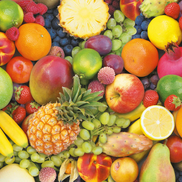 Piatnik: Obst 500 Puzzle 3D Modell