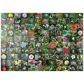 Darstellung des Puzzle Motivs Piatnik: Blossoms / Blüten - Puzzleteile: 1000
