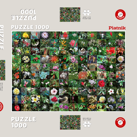 Piatnik: Blossoms / Blüten 1000 Puzzle Schachtel 3D Modell