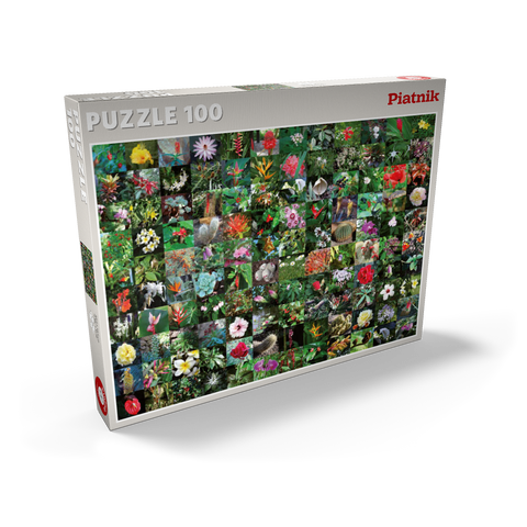 Piatnik: Blossoms / Blüten 100 Puzzle Schachtel Ansicht2