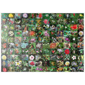 Darstellung des Puzzle Motivs Piatnik: Blossoms / Blüten - Puzzleteile: 100
