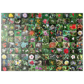 Darstellung des Puzzle Motivs Piatnik: Blossoms / Blüten - Puzzleteile: 200