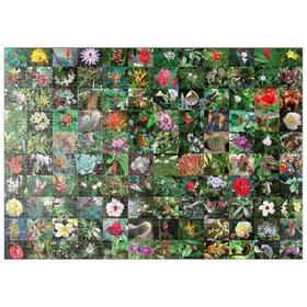 Darstellung des Puzzle Motivs Piatnik: Blossoms / Blüten - Puzzleteile: 500