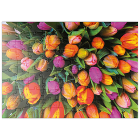 Darstellung des Puzzle Motivs Piatnik: Tulpen - Puzzleteile: 100