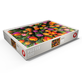 Darstellung des Puzzle Motivs Piatnik: Tulpen - Puzzleteile: 500