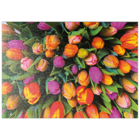 Darstellung des Puzzle Motivs Piatnik: Tulpen - Puzzleteile: 500