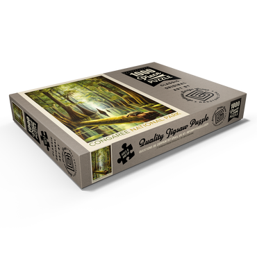 Darstellung des Puzzle Motivs Congaree National Park: Turtle Time, Vintage Poster 1000 Puzzle Schachtel Ansicht1