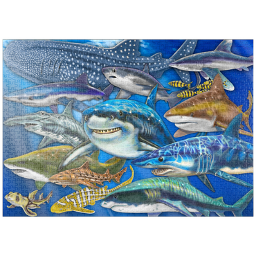 puzzleplate Shark Collage 1000 Puzzle