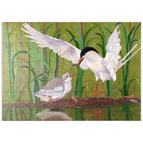 puzzleplate Forster's Tern Feeding Chick in Wetlands 100 Puzzle