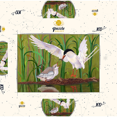 Forster's Tern Feeding Chick in Wetlands 100 Puzzle Schachtel 3D Modell