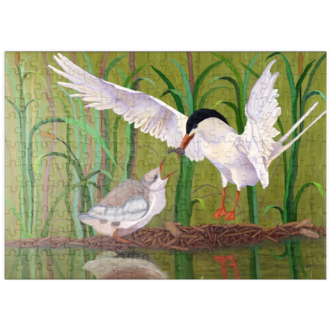 puzzleplate Forster's Tern Feeding Chick in Wetlands 200 Puzzle