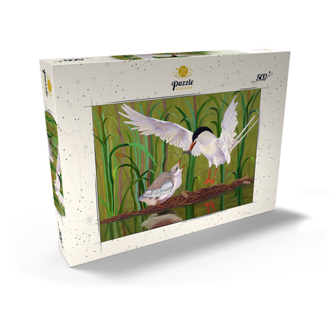 Forster's Tern Feeding Chick in Wetlands 500 Puzzle Schachtel Ansicht2