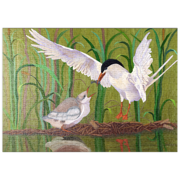 puzzleplate Forster's Tern Feeding Chick in Wetlands 500 Puzzle