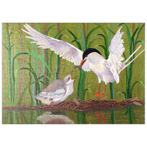 puzzleplate Forster's Tern Feeding Chick in Wetlands 500 Puzzle