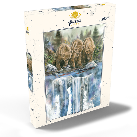 Three Grizzly Cubs by a Waterfall 100 Puzzle Schachtel Ansicht2