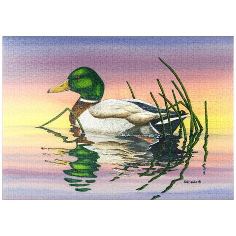 Darstellung des Puzzle Motivs Stockente bei Sonnenuntergang Reflexion puzzleplate Mallard Duck at Sunset Reflection 1000 Puzzle