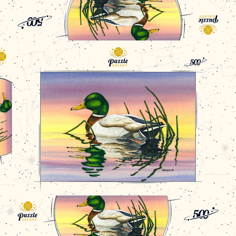 Darstellung des Puzzle Motivs Stockente bei Sonnenuntergang Reflexion Mallard Duck at Sunset Reflection 500 Puzzle Schachtel 3D Modell