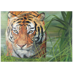 Darstellung des Puzzle-Motivs Tiger auf der Pirsch durch üppige Feuchtgebiete – Puzzleteile: 1000