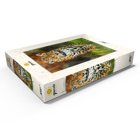 Darstellung des Puzzle Motivs Leopard schreitet durch üppiges Gras - Puzzleteile: 1000