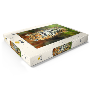 Leopard Stepping Through Lush Grass 200 Puzzle Schachtel Ansicht1