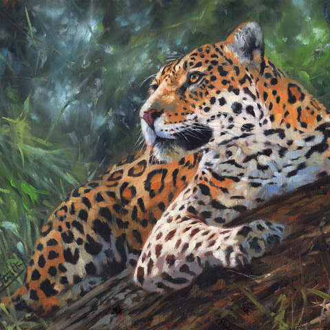 Darstellung des Puzzle Motivs Leopard ruht auf einem Waldstamm Leopard Resting on Forest Log 1000 Puzzle 3D Modell