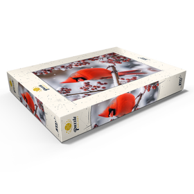Alternative Darstellung des Puzzle-Motivs Nordkardinal auf verschneitem Ast – Puzzleteile: 1000
