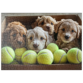 Darstellung des Puzzle-Motivs Entzückende Welpen in Box mit Tennisbällen – Puzzleteile: 500