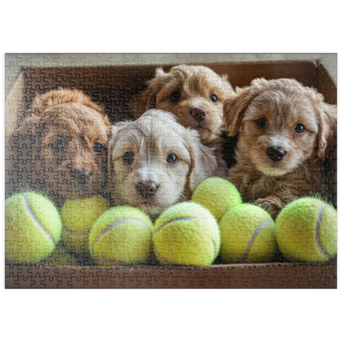 puzzleplate Adorable Puppies in Box with Tennis Balls 500 Puzzle