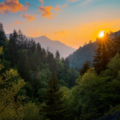 Darstellung des Puzzle Motivs Sonnenaufgang über bewaldetem Bergtal Sunrise Over Forested Mountain Valley 1000 Puzzle 3D Modell