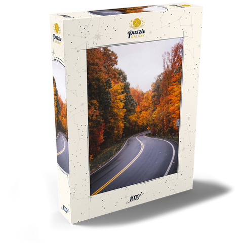 Darstellung des Puzzle Motivs Kurvenreiche Straße durch lebendigen Herbstwald Winding Road Through Vibrant Autumn Forest 1000 Puzzle Schachtel Ansicht2