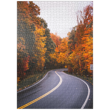 Darstellung des Puzzle Motivs puzzleplate Winding Road Through Vibrant Autumn Forest 1000 Puzzle