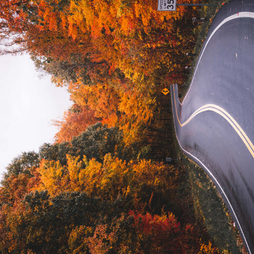 Darstellung des Puzzle Motivs Winding Road Through Vibrant Autumn Forest 100 Puzzle 3D Modell