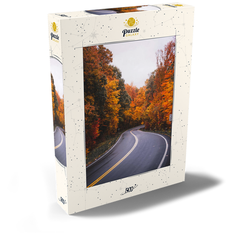 Darstellung des Puzzle Motivs Kurvenreiche Straße durch lebendigen Herbstwald Winding Road Through Vibrant Autumn Forest 500 Puzzle Schachtel Ansicht2